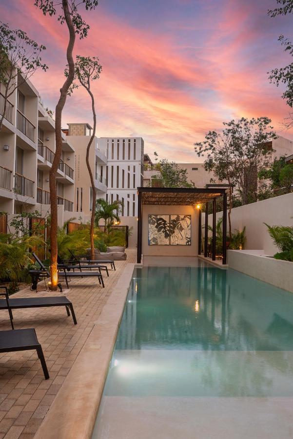 Studio Wterrace, Hammock, And Pool Access 图卢姆 外观 照片